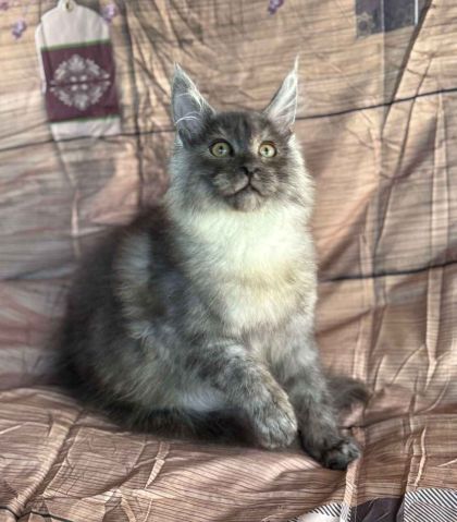 heavensgate_graduate_15