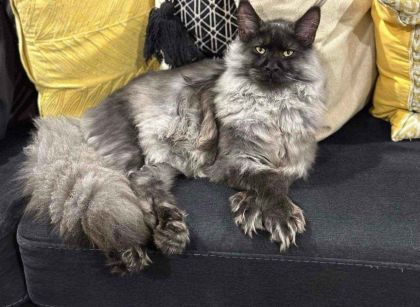 heavensgate_graduate_05