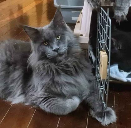 heavensgate_graduate_20