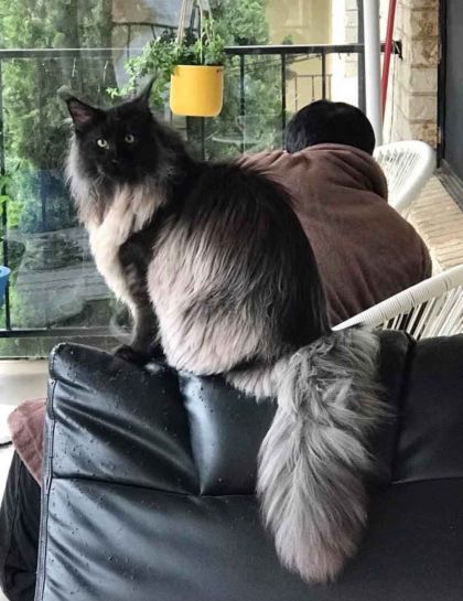 heavensgate_graduate_27