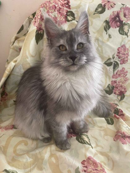 heavensgate_graduate_07