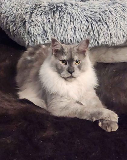 heavensgate_graduate_09