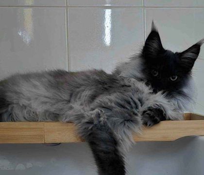 heavensgate_graduate_06