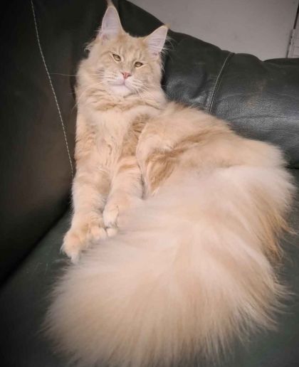 heavensgate_graduate_17