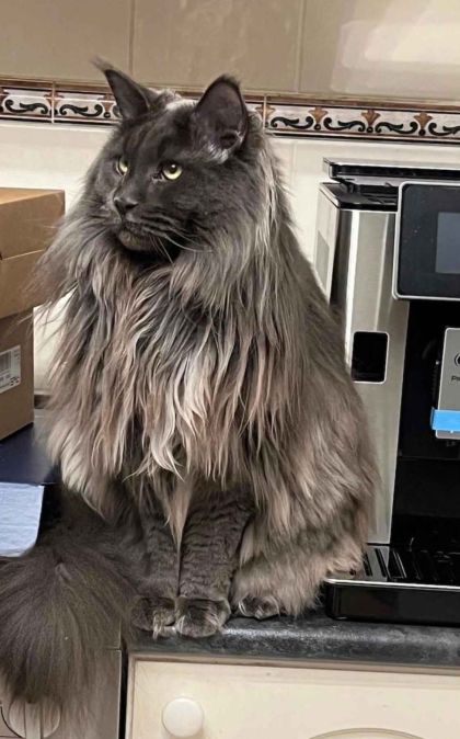 heavensgate_graduate_26