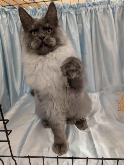 heavensgate_graduate_01