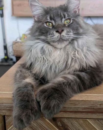 heavensgate_graduate_19