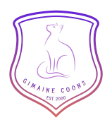 Heavensgate Maine Coons