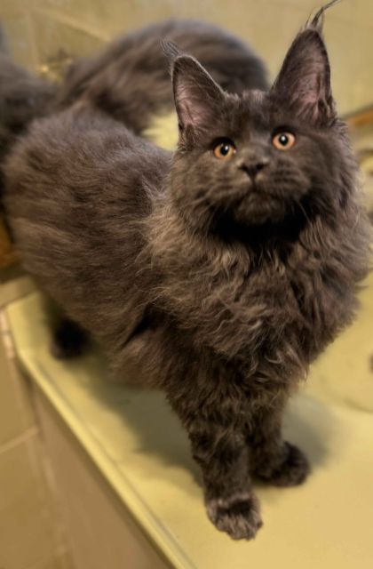 heavensgate_graduate_24