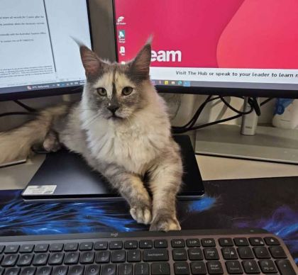 heavensgate_graduate_10