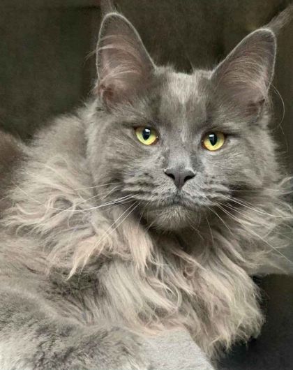 heavensgate_graduate_25