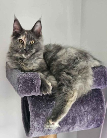 heavensgate_graduate_14