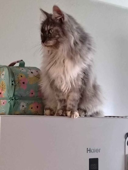 heavensgate_graduate_02