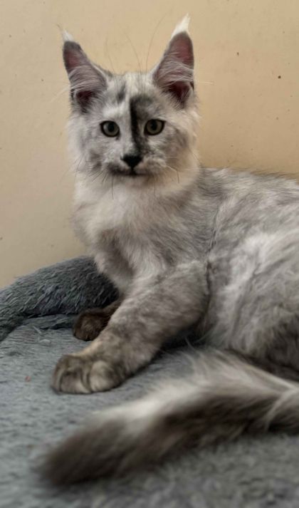 heavensgate_graduate_22