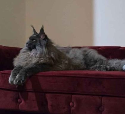 heavensgate_graduate_12