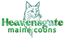 Heavensgate Maine Coons